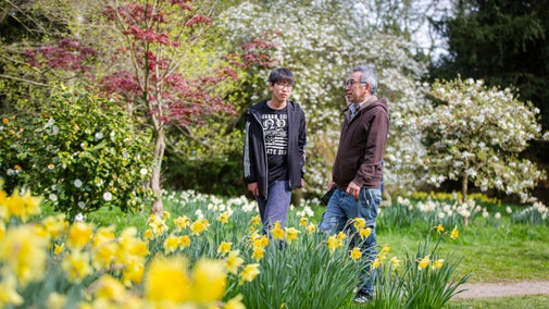 A family walks by daffodils and near magnolia trees